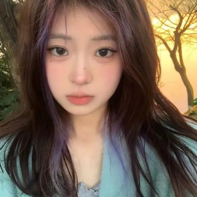 监察局长